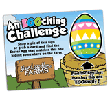 Egg-citing Challenge- an Easter 'Seek & Find' site game