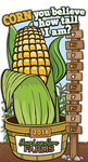 How Tall This Year?  (Corn and Scarecrow)