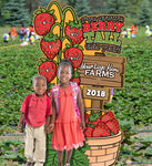 How Tall This Year? strawberries